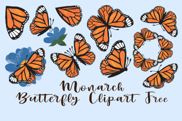 Monarch Butterfly Clipart Free Graphics for Local Branding