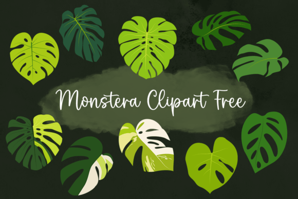 Monstera Clipart Free: Graphics and Freebies for Branding